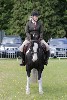 thornton-le-dale-gala showclass7acharity25-5-20194